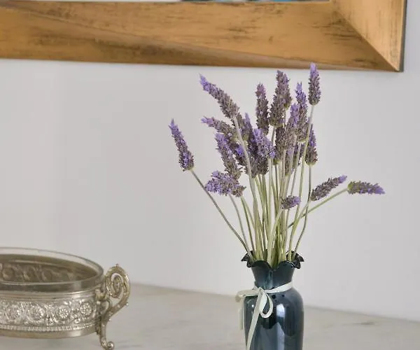 Diamanto's トリピティ